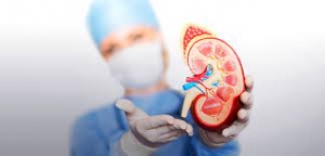 Finding the Right Kidney Doctor in Patna